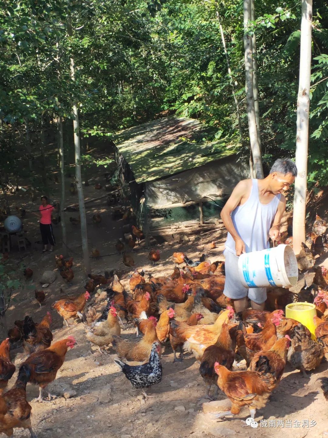 敢为人先做领跑者,左权县脱贫攻坚先进个人