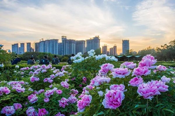 刷屏!一份考卷难倒了洛阳人,全答对的人没几个…