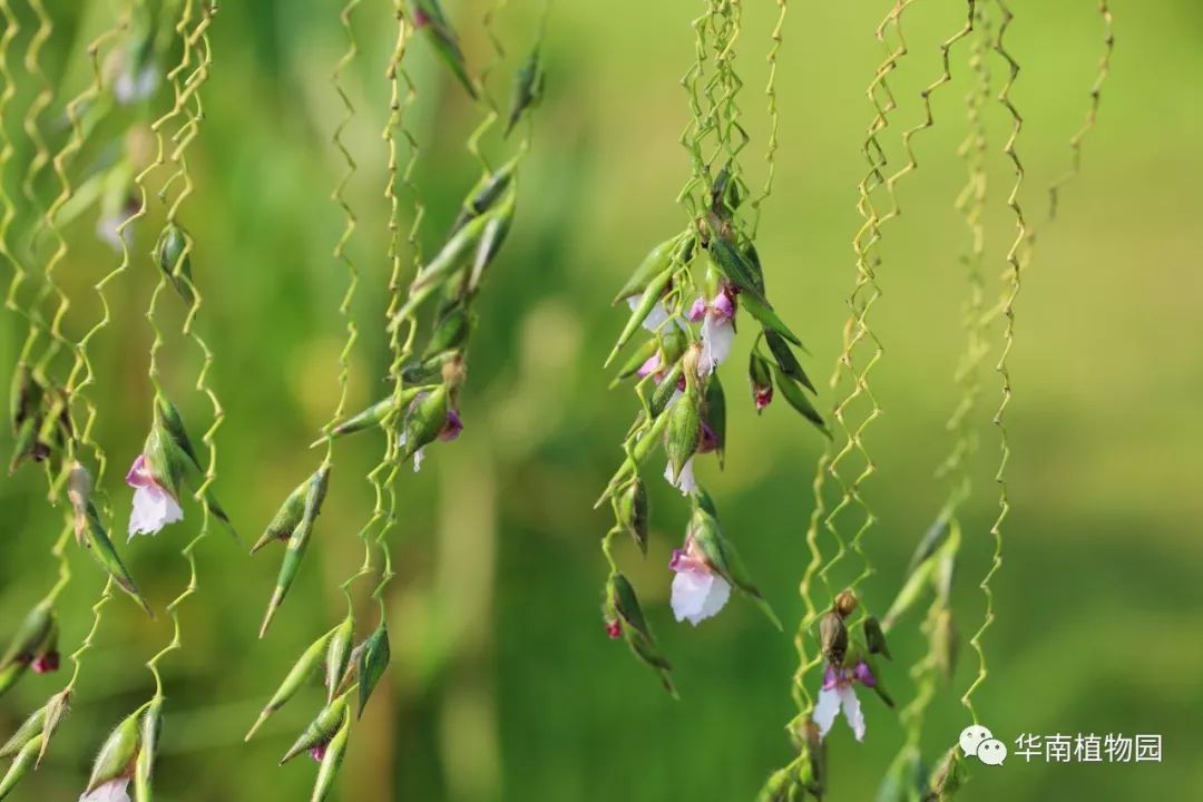 鏂扮煡鏂拌В,鏂扮煡鏂拌