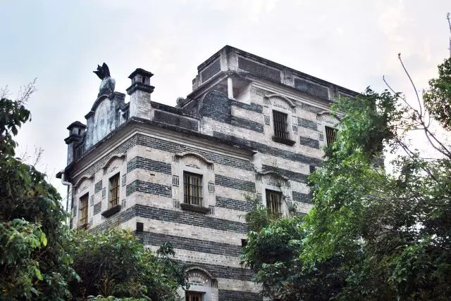 权威发布|这样的花都，太上头了！