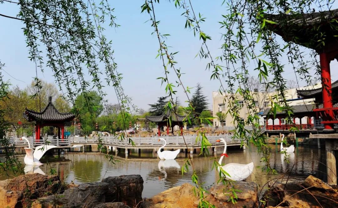 洛阳市网红打卡景点,洛阳十大网红景点推荐