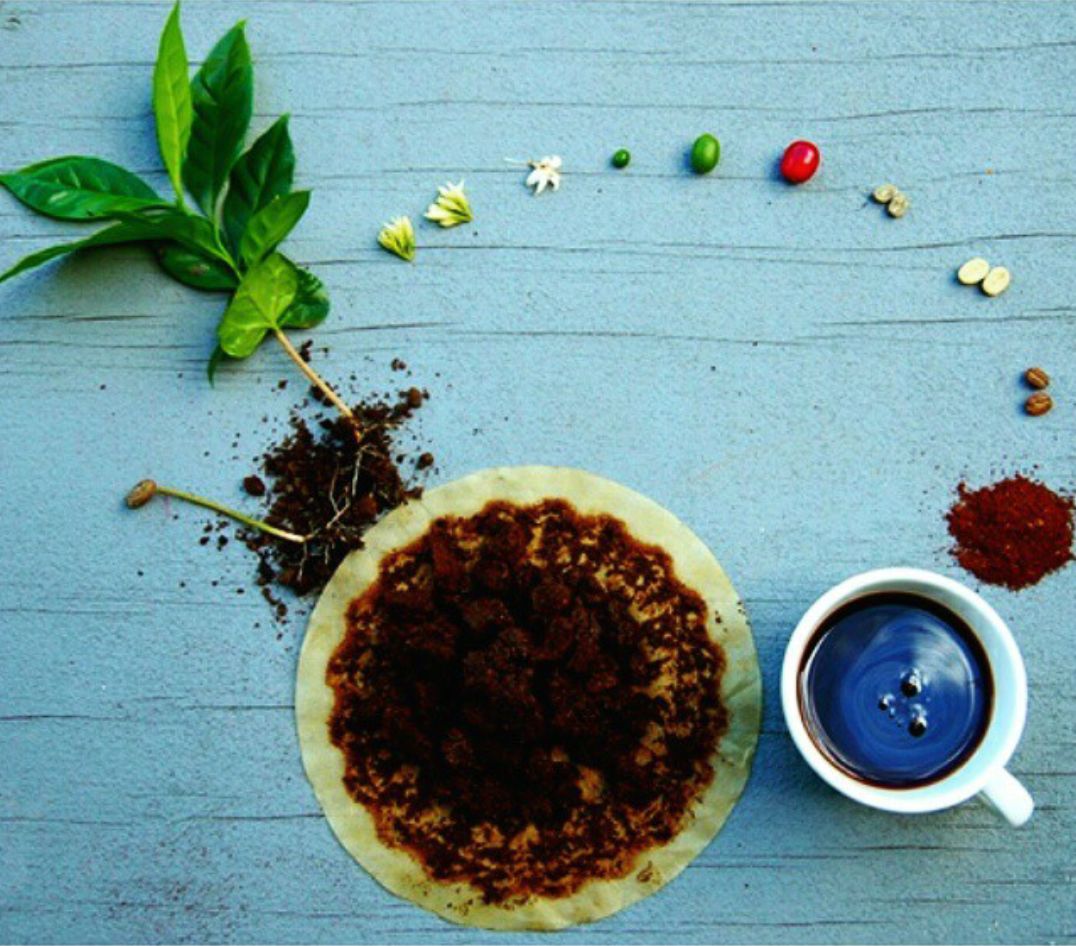 一杯咖啡导致的两起惨案,一杯咖啡的来龙去脉