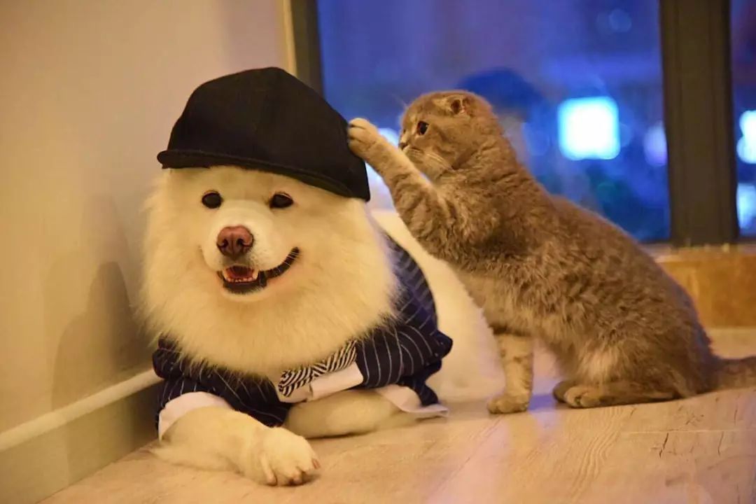 从安妮宝贝到庆山,从安妮宝贝到庆山笔风的转变