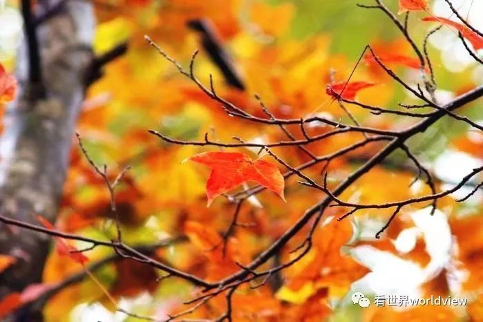 广西今日头条地址,广西有哪些头条自媒体