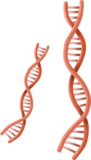 健康和长寿的正确吃法,吃对了才更加健康