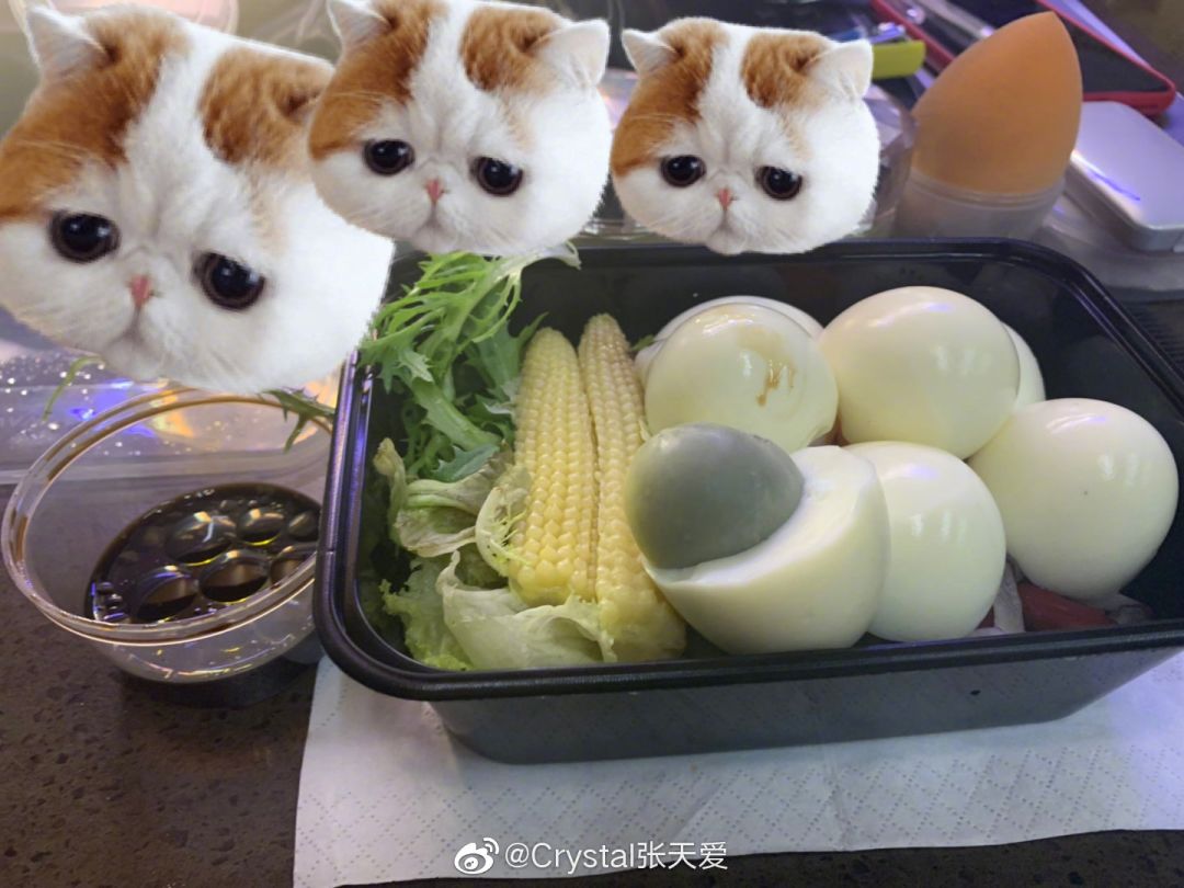 减肥真人秀画风跑偏变吃播？“太子妃”坚守底线不忘初心