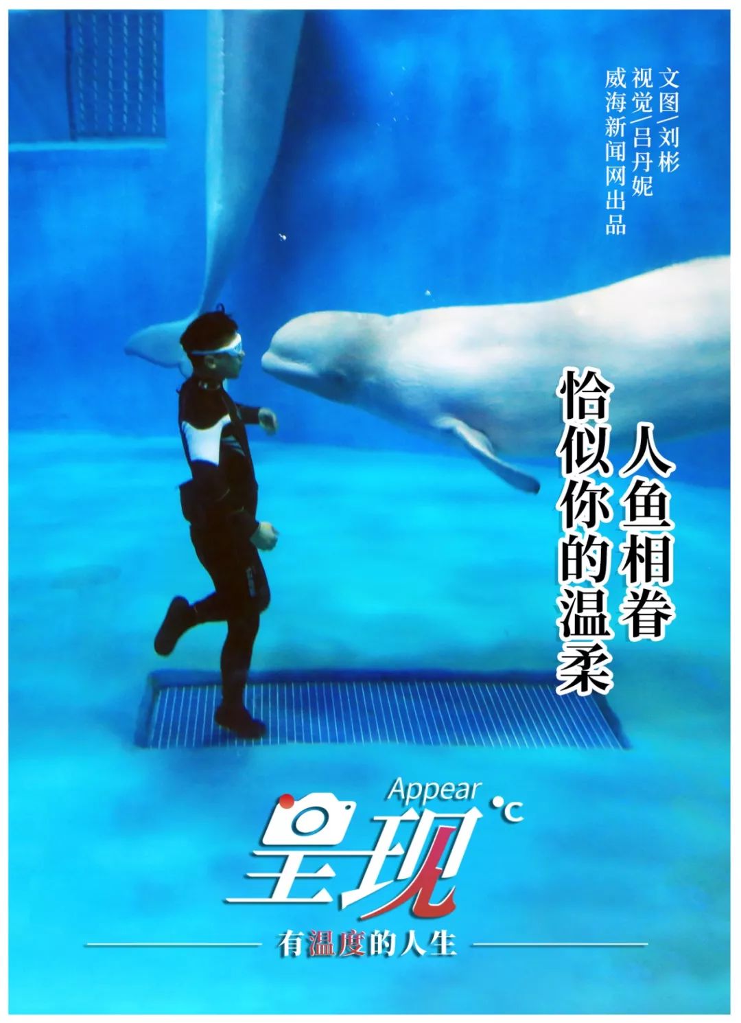 呈现|从海军战士到“海豚恋人”,人鱼相眷,恰似你的温柔……