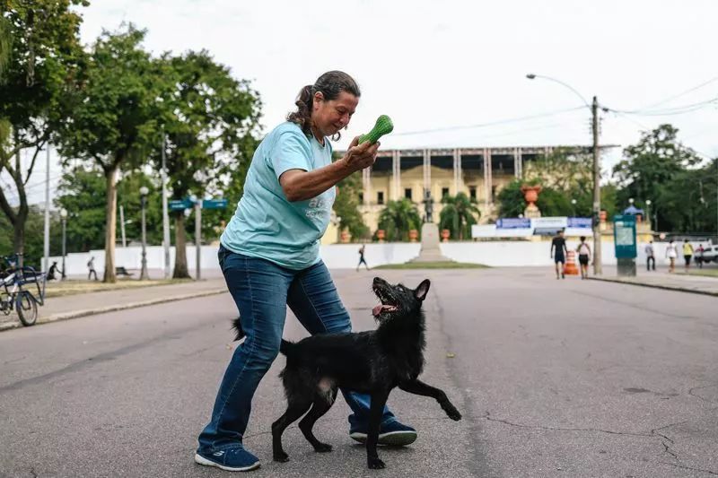巴西博物馆大火,巴西博物馆大火之谜