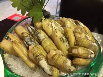 大连开海后的海鲜,开海了吃海鲜去哪个码头最便宜