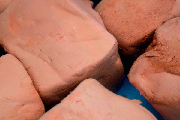 吃完猪血黑便还有呕吐,吃了猪血大便黑是排毒吗