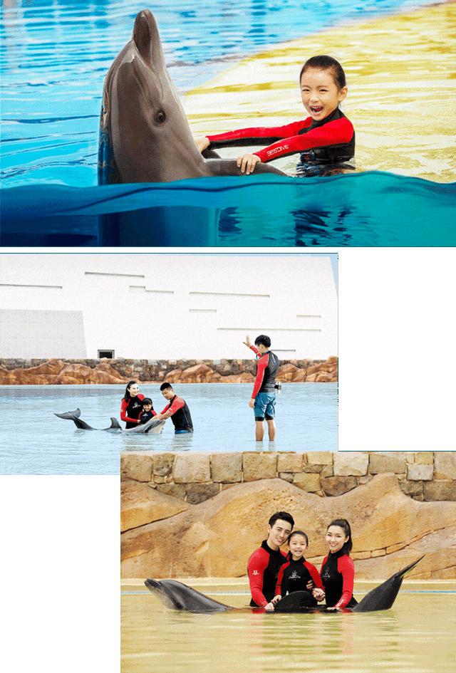 三亚3天2晚亚特兰蒂斯,三亚5天4晚亚特兰蒂斯酒店双人游