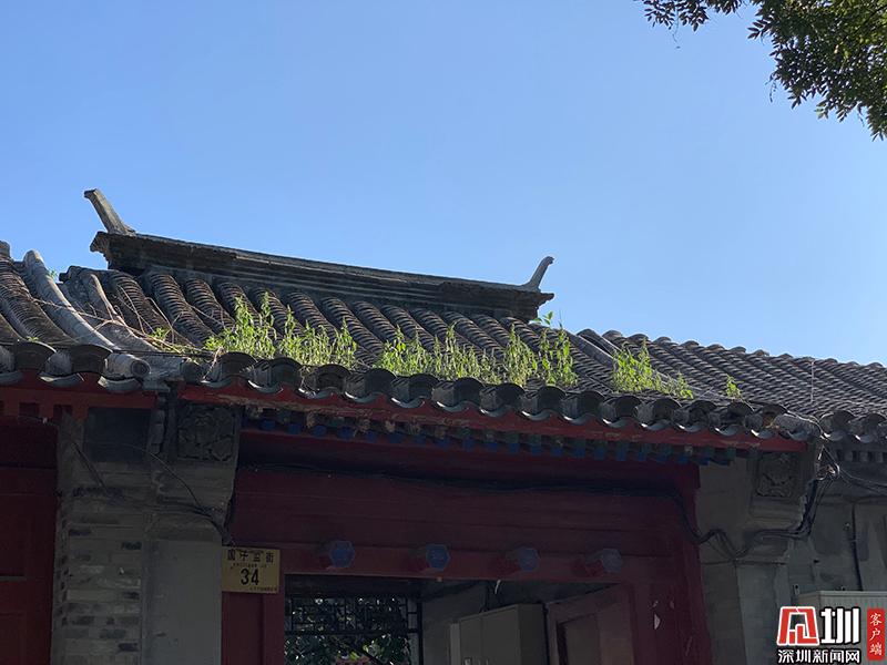 什刹海的旅游特色,什刹海旅游攻略北京最美景点推荐