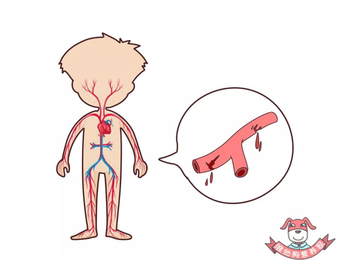 总是熬夜晚睡如何调整自己的作息,如何迅速的把熬夜作息调整回来