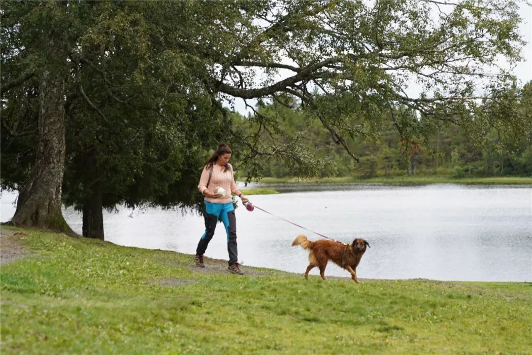 挪威缩影是个旅游团吗,不同人眼中的挪威