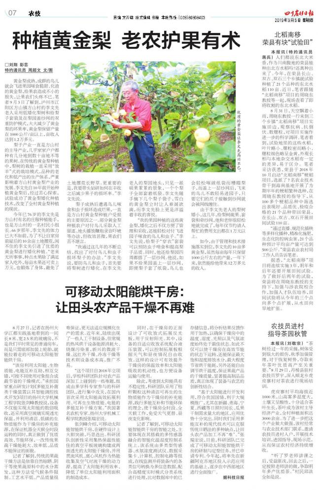 有机黄金梨栽培技术,种植黄金梨