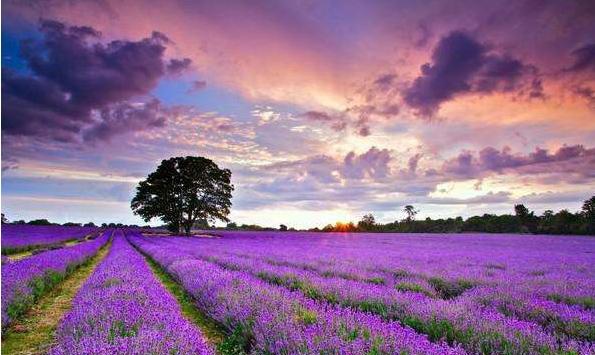 郑州适合情侣好玩的室内游乐场,郑州附近适合情侣约会的地方