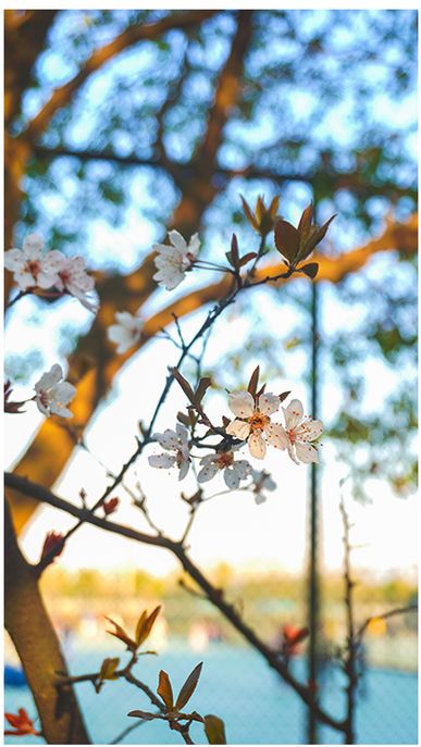 夏天夏天悄悄过去，留下……东大夏末定制“特饮”！