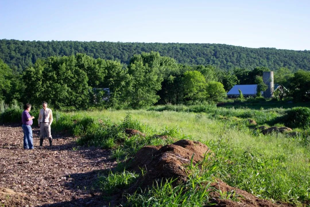 把诊室开在农场里，用有机食物做处方药的另类医生