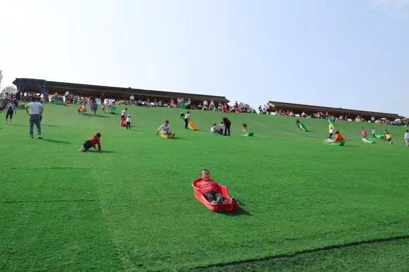 滑草活动,兴义放马坪滑草