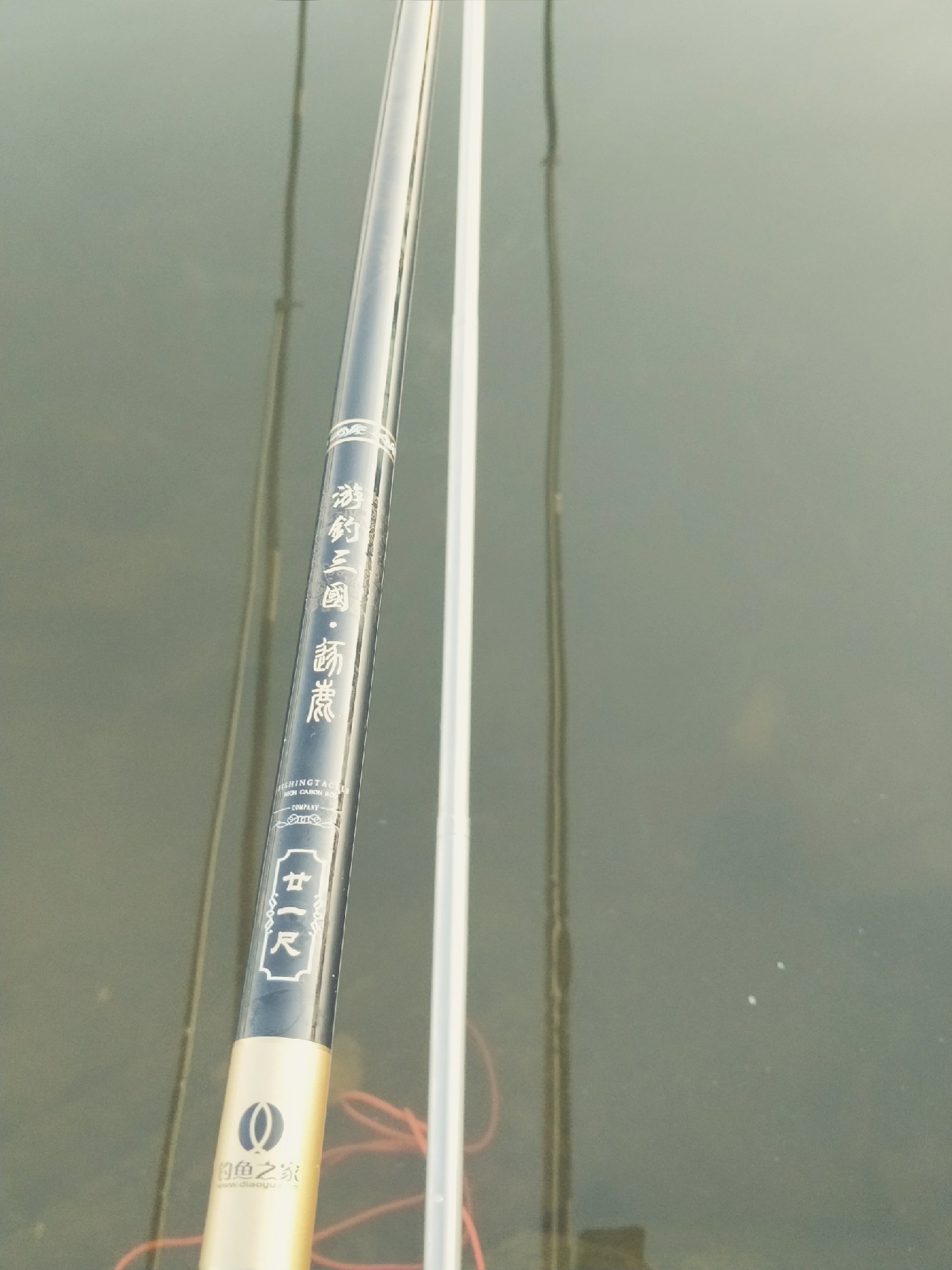 封竿一年后,封竿期钓鱼