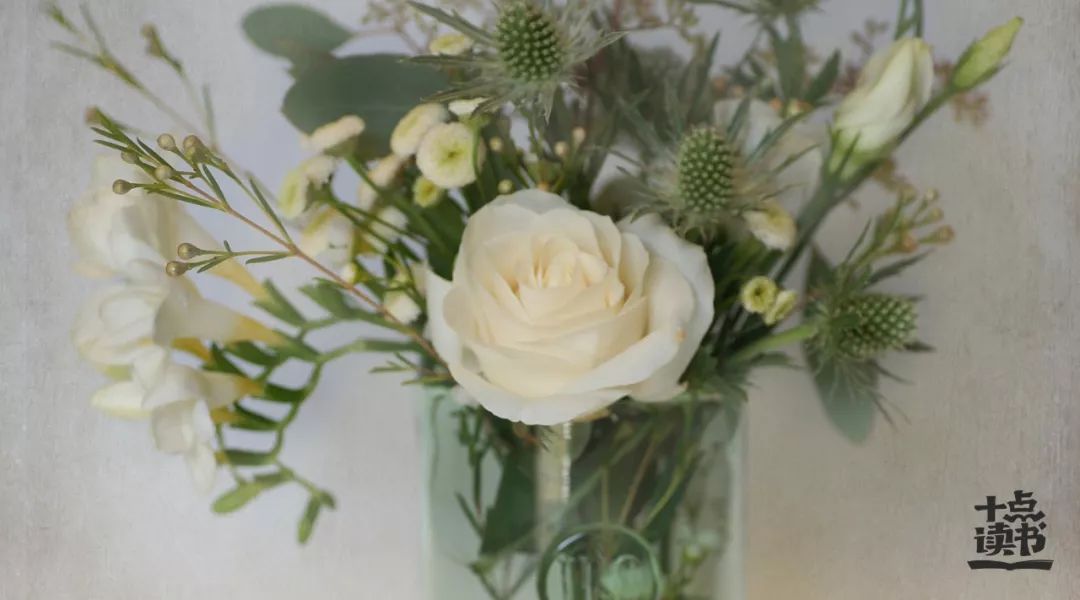 走得太近是场灾难的感悟,走得太近是场灾难深度好文