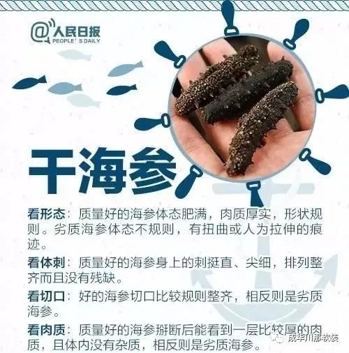 开海买海鲜攻略,开海了一般市场海鲜什么时候便宜