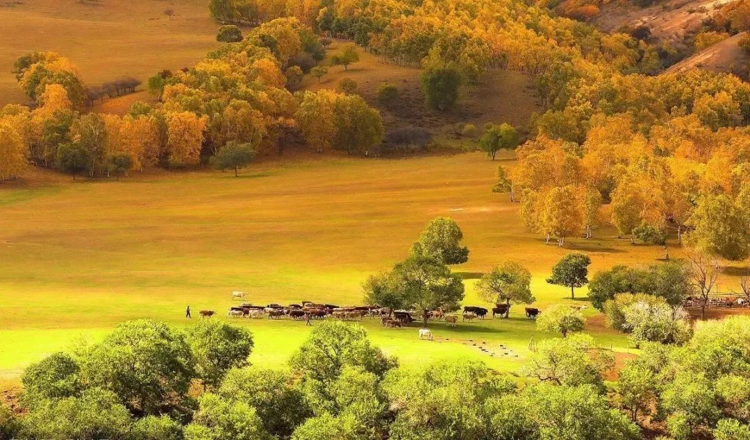 达里湖红海滩在哪里,达里湖冬捕