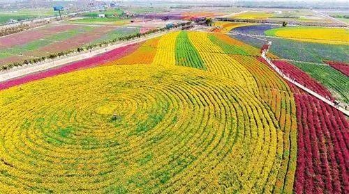 第一次跨国旅行热气球,热气球跨国旅行