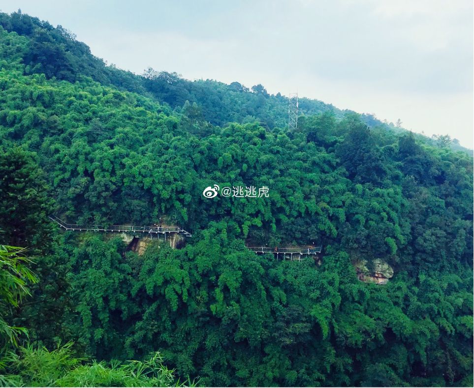 成都周边最好的玻璃栈道的景区,成都附近哪个景区有玻璃栈道