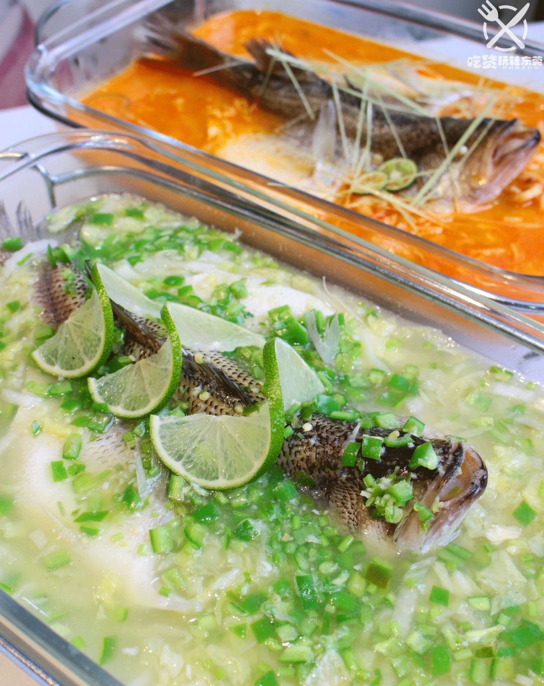 鸡苗高口碑店铺,口碑好的优质鸡