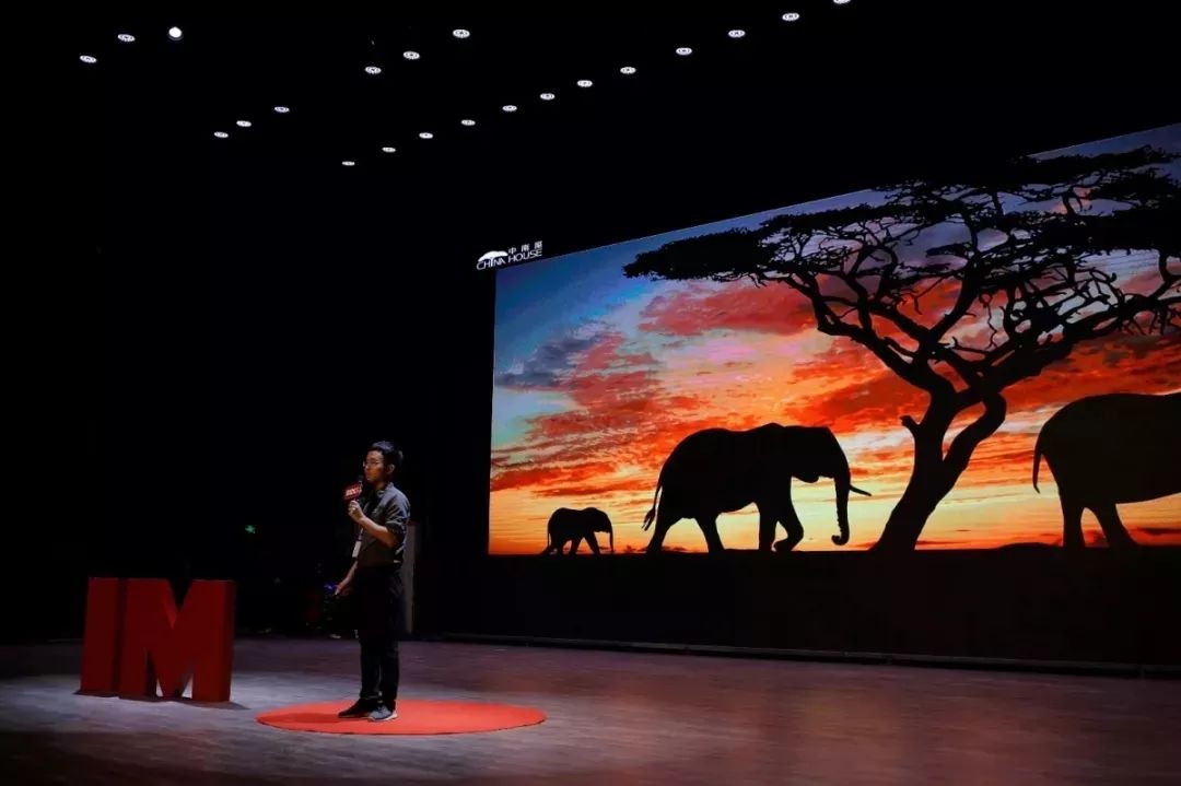 当了二十年老师却被说是文盲,做了几十年老师迷茫