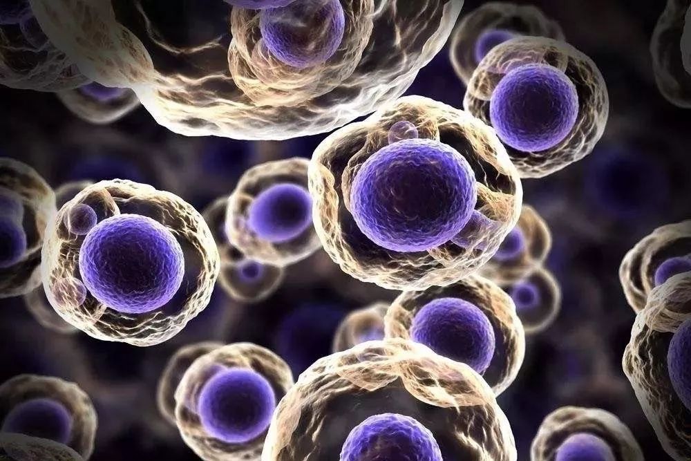 有什么好的口服胶原蛋白推荐,如何买到正宗的三型胶原蛋白