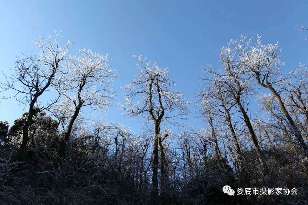 生态娄底美丽家园——【壮丽70年奋斗新时代】娄底首届风光摄影作品展览生态小品作品选登