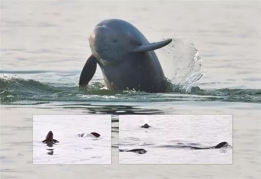 一图看懂70年住宅变迁史,一图速览党的二十大报告
