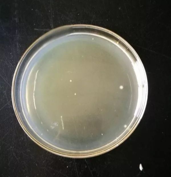 饮料打开常温下可以存放多久,饮料一次喝太多有什么危害