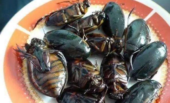 南方人的小吃vs北方人的小吃,南方人眼中的北方小吃