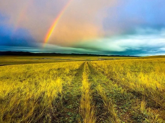 内蒙古的秋天有多美,内蒙古的秋天有多美啊