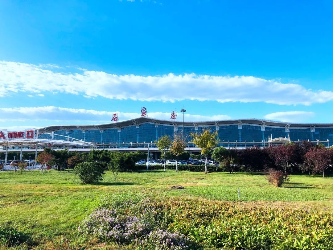 月饼、螃蟹、皮皮虾…中秋回家能带它们上飞机吗？权威解答