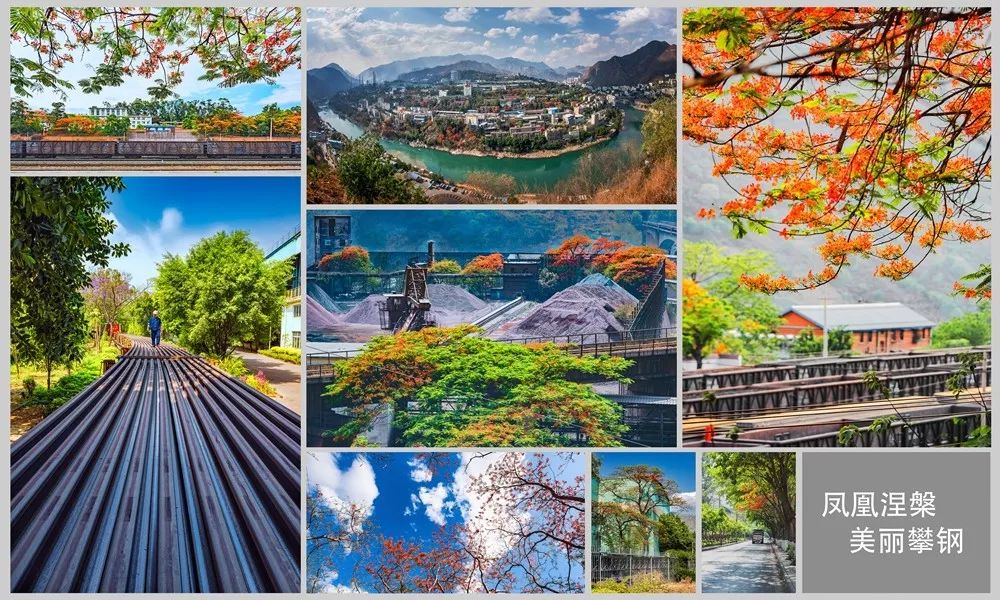 攀钢发展历程,攀钢的发展历程