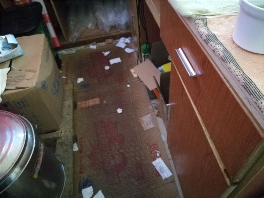 海曙区知名餐饮店有哪些,宁波海曙区餐饮排名