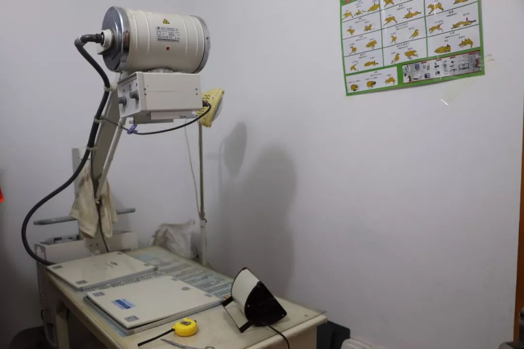 丽江宠物基地,丽江最好的宠物医院