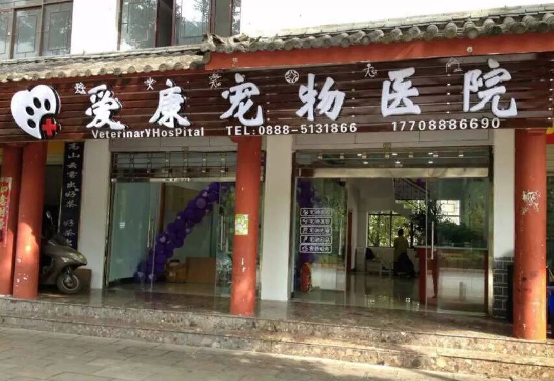 丽江宠物基地,丽江最好的宠物医院
