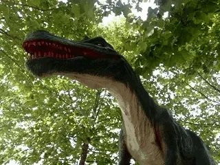 肇庆鼎湖新区体育中心中秋游园会,肇庆新区体育中心中秋游园会