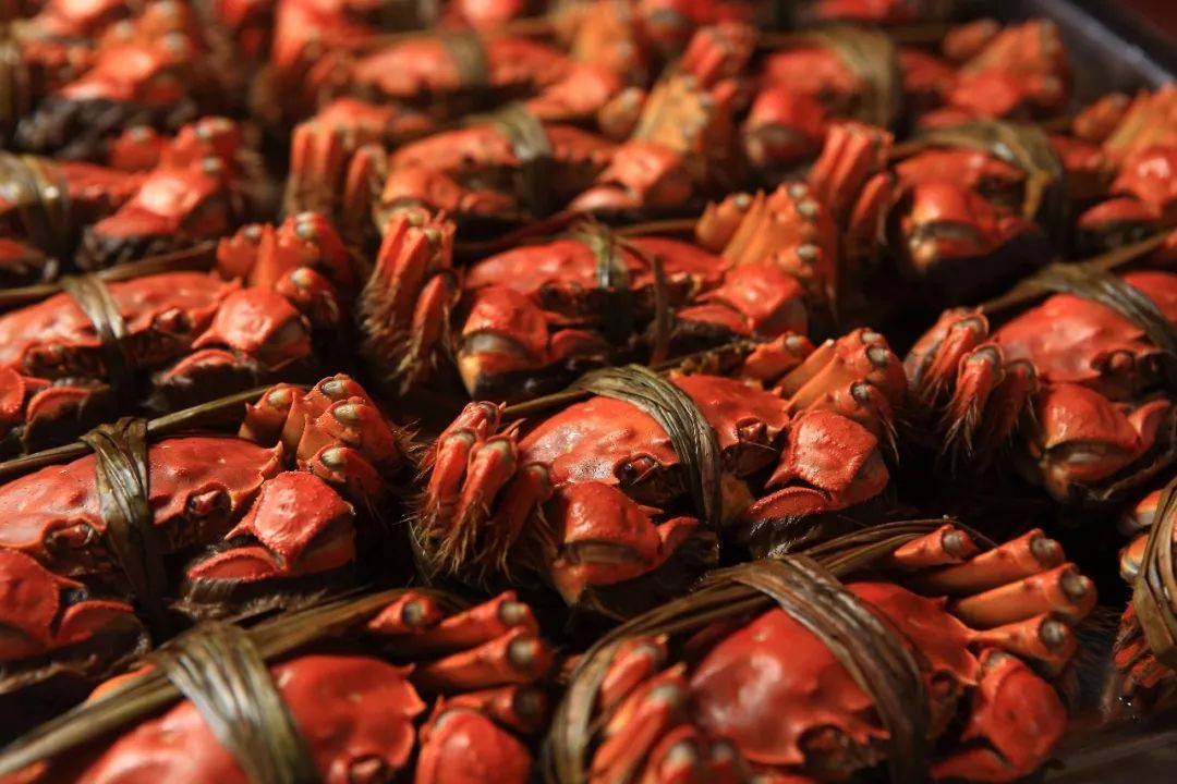 大闸蟹做法简单又好吃,鹤龙湖大闸蟹哪家好吃