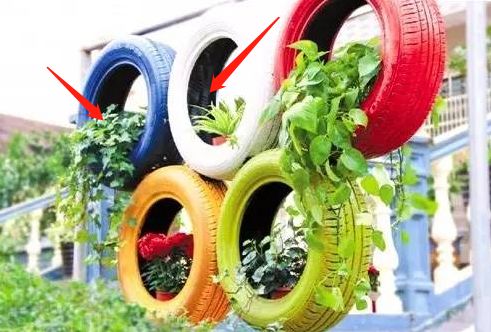 预防登革热时刻在行动,科普清理小积水防控登革热