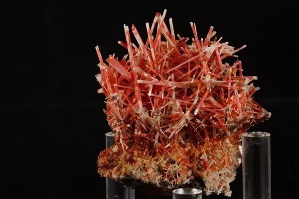 谁还不是个小可爱呢下一句,谁还不是小可爱