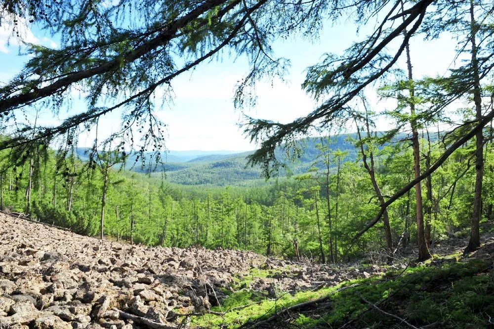 阿里河山泉水，清甜甘冽，喝上伊勒呼里的泉水心醉神迷