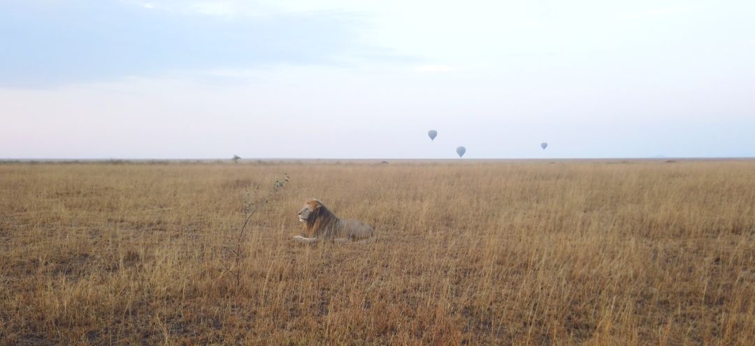 鍧︽灏间簹涓庡ぇ鑷劧,鍧︽灏间簹鑷劧椋庡厜鐪熺編