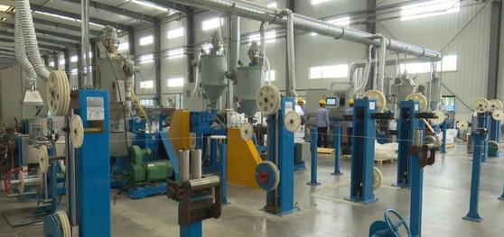 宝胜电缆2019年盈利,宝胜品牌前十大排名