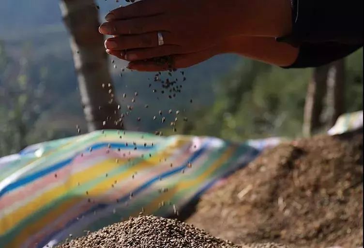 记忆里的昆明,昆明荞酒